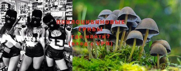 трава Абаза