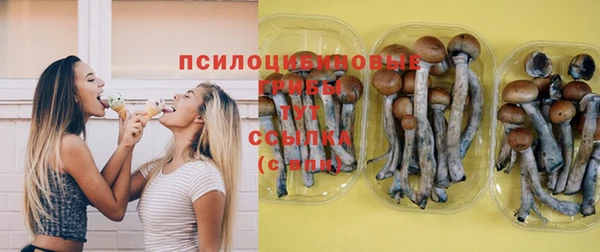 трава Абаза