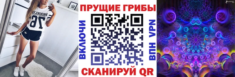 Галлюциногенные грибы прущие грибы  Новосибирск 